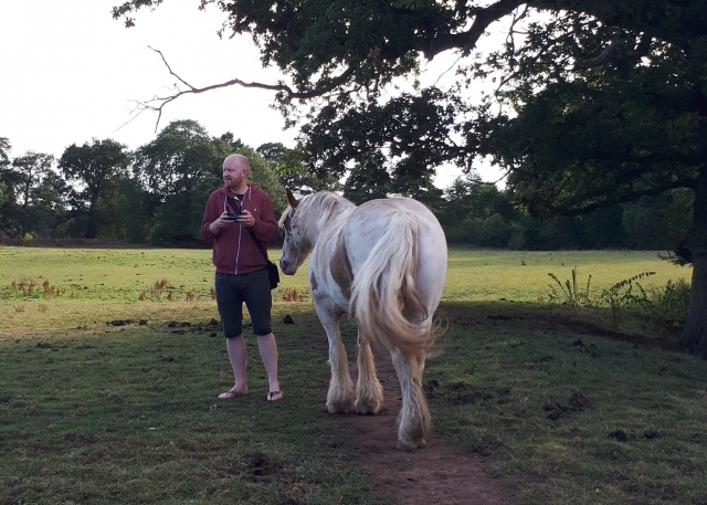white-horses-11